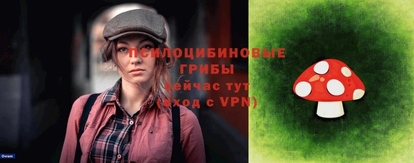 дурь Вяземский