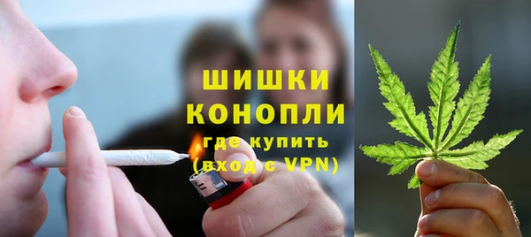 дурь Вяземский