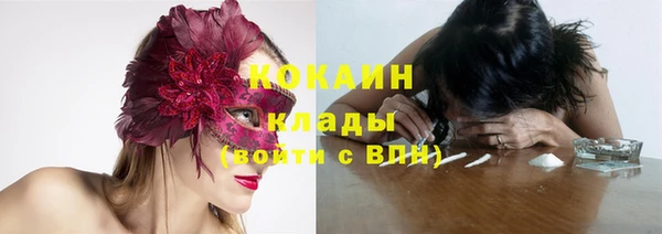 твердый Вязьма