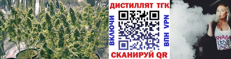 Дистиллят ТГК Wax  Подольск 
